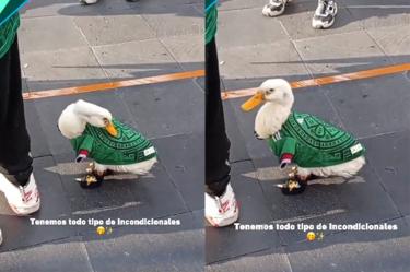 El fenómeno viral que nadie vio venir en el Mundial