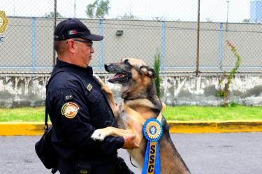 En la ceremonia de jubilación cada agente K9 fue identificado mediante la lectura de su microchip