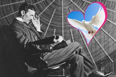 La historia de Nikola Tesla y su paloma blanca