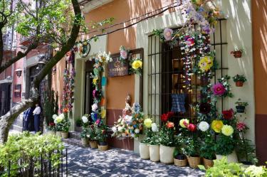 Por todo el barrio de San Ángel se desplegarán exposiciones florales, venta de plantas, talleres y gastronomía