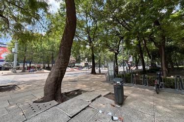 Entre la Diana Cazadora y la Puerta de los Leones únicamente se ubicaron tres botes de basura.