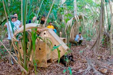 Los ejemplares provenían de decomisos realizados por autoridades ambientales durante operativos contra el tráfico ilegal de fauna silvestre.