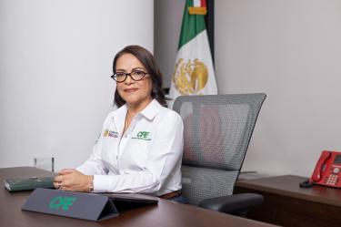 Eugenia Calleja Alor, directora general de la CFE.