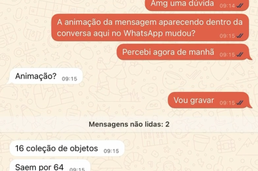 La animación de los mensajes de WhatsApp ha causado controversia.