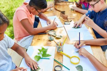 Cursos de verano para niños CDMX