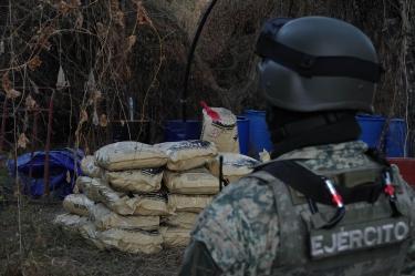 Lo asegurado se dio durante operativos realizados en los poblados Santa Anita, La Ilama y Pueblo de Alayá, en el municipio de Cosalá, Sinaloa.