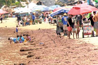 Turistas en una playa de Nayarit cubierta de alga.