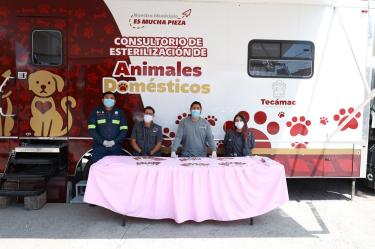 Los animales deberán acudir limpios, no estar lactando, no estar en celo ni presentar enfermedades