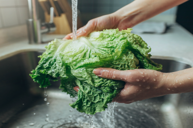 La FDA vinculó lechuga mexicana con un brote de ciclosporiasis en Estados Unidos; Taco Bell retiró el producto tras miles de contagios.
