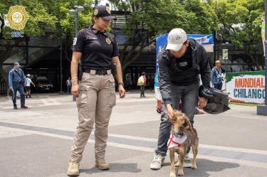 El can, descrito por los elementos de la BVA como un perro cariñoso, obediente y muy activo, fue exhibido durante el primer día de la jornada