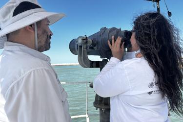 Pronatura Noroeste impulsa programas comunitarios y científicos para proteger a la vaquita marina en el Alto Golfo de California.