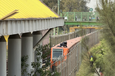 El hombre fue sometido por policías sobre un tren en servicio