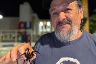 Durante el primer semestre de 2026, las mordeduras de arañas y serpientes han registrado un aumento significativo debido a factores climáticos y a la adaptación de estas especies a entornos urbanos.