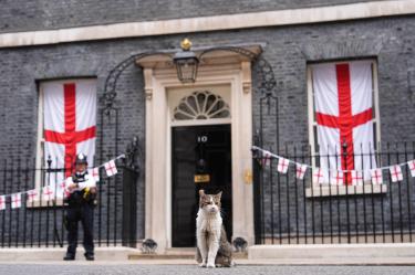 Chief Mouser to the Cabinet Office Larry the cat sitting in front of 10 Downing Street, London, decked out in St George's Cross flags ahead of England playing Argentina in the World Cup semi-final on Wednesday in Atlanta, USA. Picture date: Wednesday July 15, 2026.