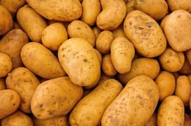 Precio de la papa se dispara hasta 100%: ¿por qué subió tanto el kilo?