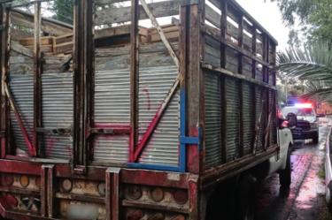 Autoridades de la CDMX aseguran cargamento de madera clandestina en Caltongo; el implicado podría enfrentar una pena de hasta 20 años de prisión.