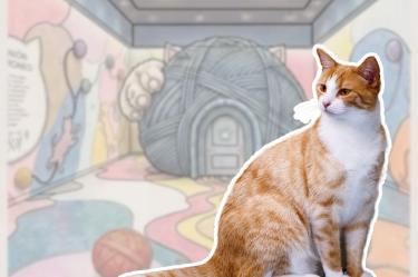 Museo del Gato CDMX