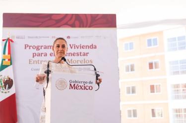 El gobierno de Claudia Sheinbaum liberará moscas estériles para combatir el gusano barrenador y reabrir exportaciones de ganado hacia Estados Unidos, tras un año de trabajo sanitario conjunto.