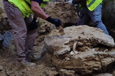 Especialistas realizan las labores de excavación y documentación del caparazón de una Titanochelon bolivari hallado en las obras del Cifse de Madrid. Foto: AYUNTAMIENTO DE MADRID.