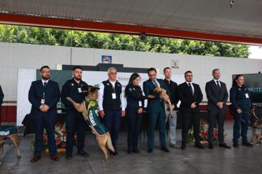 CIUDAD DE MÉXICO, 06 DE AGOSTO DE 2026. DURANTE LA CEREMONIA DE RETIRO DE OSLO, OWEN, NIXON, BOSCO PERROS DETECTORES DE ADUANA DEL AICM.