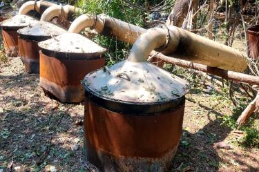 Las acciones se concentraron en los estados de Sinaloa y Michoacán, donde las fuerzas federales aseguraron miles de litros de precursores químicos y equipamiento industrial.