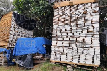 Entre la madera localizada se identificaron especies de oyamel, pino, cedro rojo, salam y zapote