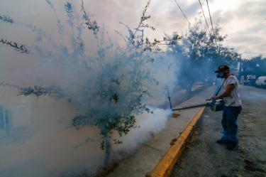 Cabe señalar que durante la semana epidemiológica número 31, de los 3 mil 884 pacientes confirmados, 2 mil 112 fueron reportados con dengue con signos de alarma y dengue grave.