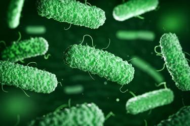 Ilustración microscópica de bacterias verdes con forma alargada, representativas de microorganismos asociados con infecciones gastrointestinales.