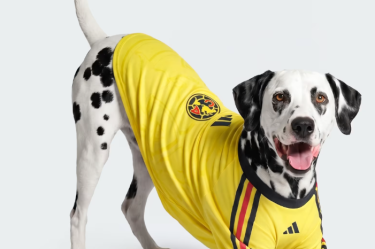 Adidas ha lanzado su colección para mascotas de la temporada 2026-2027.