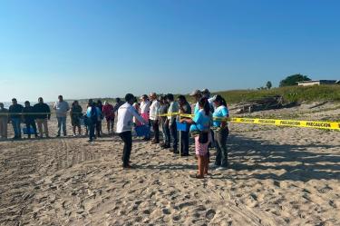 La Comisión Nacional de Áreas Naturales Protegidas, informó que 37 habitantes de la comunidad de Rancho Playa "observaron el recorrido de las crías hacia el mar.