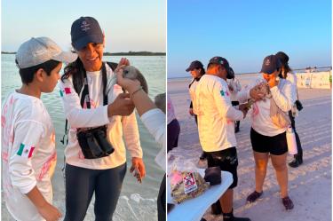 Personal y voluntarios sostienen flamencos durante una jornada de anillamiento en un humedal de Yucatán para monitorear la especie.