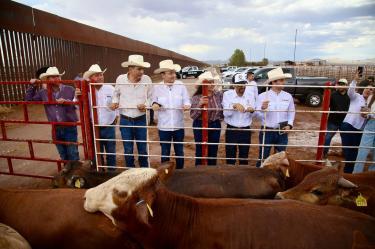 Detectan gusano barrenador en Sonora previo a reanudar exportaciones a EU