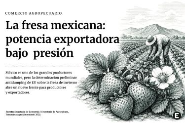 Infografía de apertura sobre la fresa mexicana, con un productor trabajando en un cultivo y fresas en primer plano; explica la presión comercial derivada de la investigación antidumping de EU.