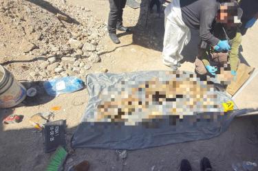 Peritos forenses examinando restos óseos recuperados de una fosa clandestina en Ciudad Juárez.