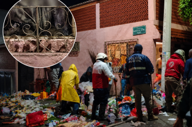 Sacaron montañas de basura del lugar
