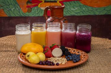 Festival del Pulque en CDMX 2026: fecha, lugar y precios