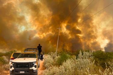 Incendio afecta mil hectáreas de pastizal en el municipio de Jiménez, Tamaulipas