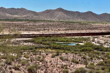 Fotografías difundidas por el Centro para la Diversidad Biológica documentan la remoción de vastas extensiones de desierto protegido dentro del Monumento Nacional Organ Pipe Cactus.