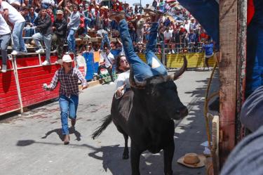 La tradicional huamantlada en Huamantla, Tlaxcala, dejó un muerto y nueve lesionados tras el encierro de 21 toros de lidia en las calles del municipio.