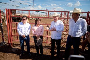 Durante esta inspección, autoridades estales y federales fortalecieron también la coordinación con el sector ganadero.