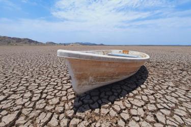 Expertos señalan que los límites de la tolerancia humana al calor no dependen únicamente de lo que marque el termómetro, sino de una combinación crítica entre el calor, la humedad y el tiempo de exposición.