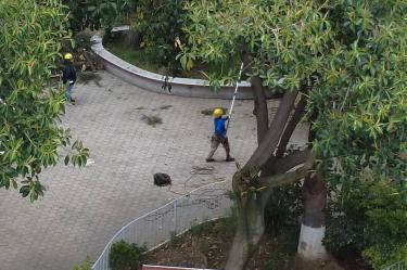 Directivos de la Secundaria Técnica 17 optaron por no desalojar el inmueble y continuar con las clases.