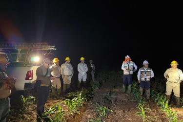 Apagón en Yucatán, Quintana Roo, Campeche y Chiapas fue por vandalismo; CFE restablece servicio