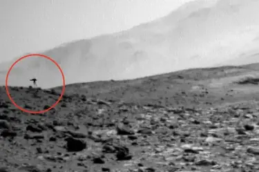 NASA observa una medusa