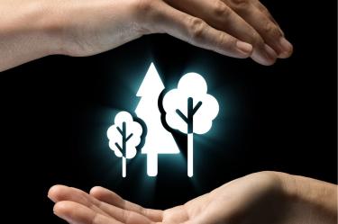 Mexico Carbon Forum 2026: BioCarbon Cert innova en lo ambiental