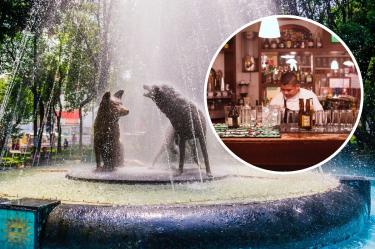 Cantinas en Coyoacán: un recorrido por 4 lugares para comer y beber