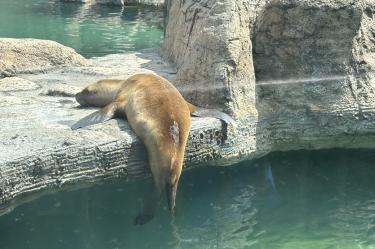 Visitantes expresaron su preocupación por el estado de salud y las condiciones en las que se encuentran diversos animales.