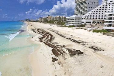 Playa de Cancún, Quintana Roo, afectada por sargazo.