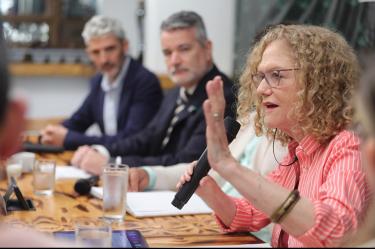 Magdalena García Hernández, fundadora de la Red de Mujeres Anfitriona, pidió que la regulación esté sustentada en evidencia y considere sus consecuencias económicas y sociales.