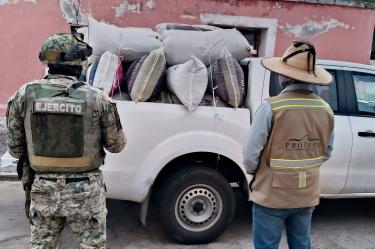 Los recolectores no pudieron comprobar que contaban con autorización para su aprovechamiento.